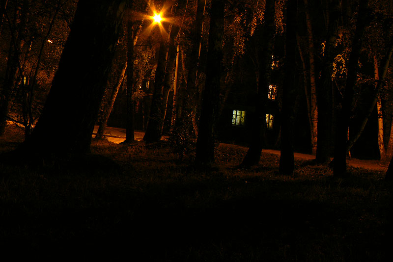 Ночь в Академгородке